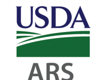 USDA Jobs